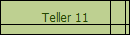 Teller 11